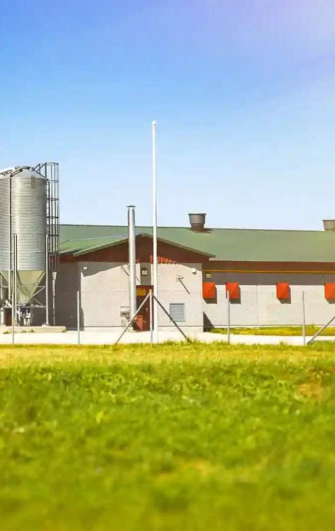 mpb livestock barn featured image