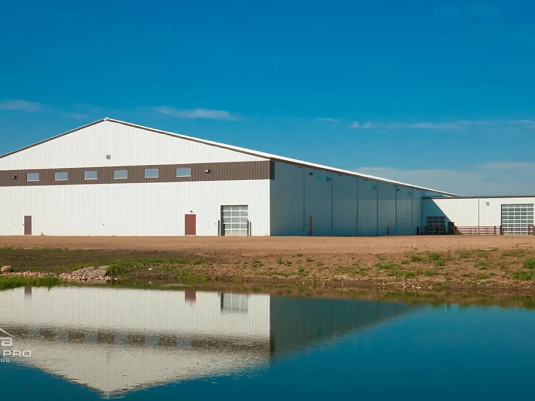 mpb horse riding arenas featured image